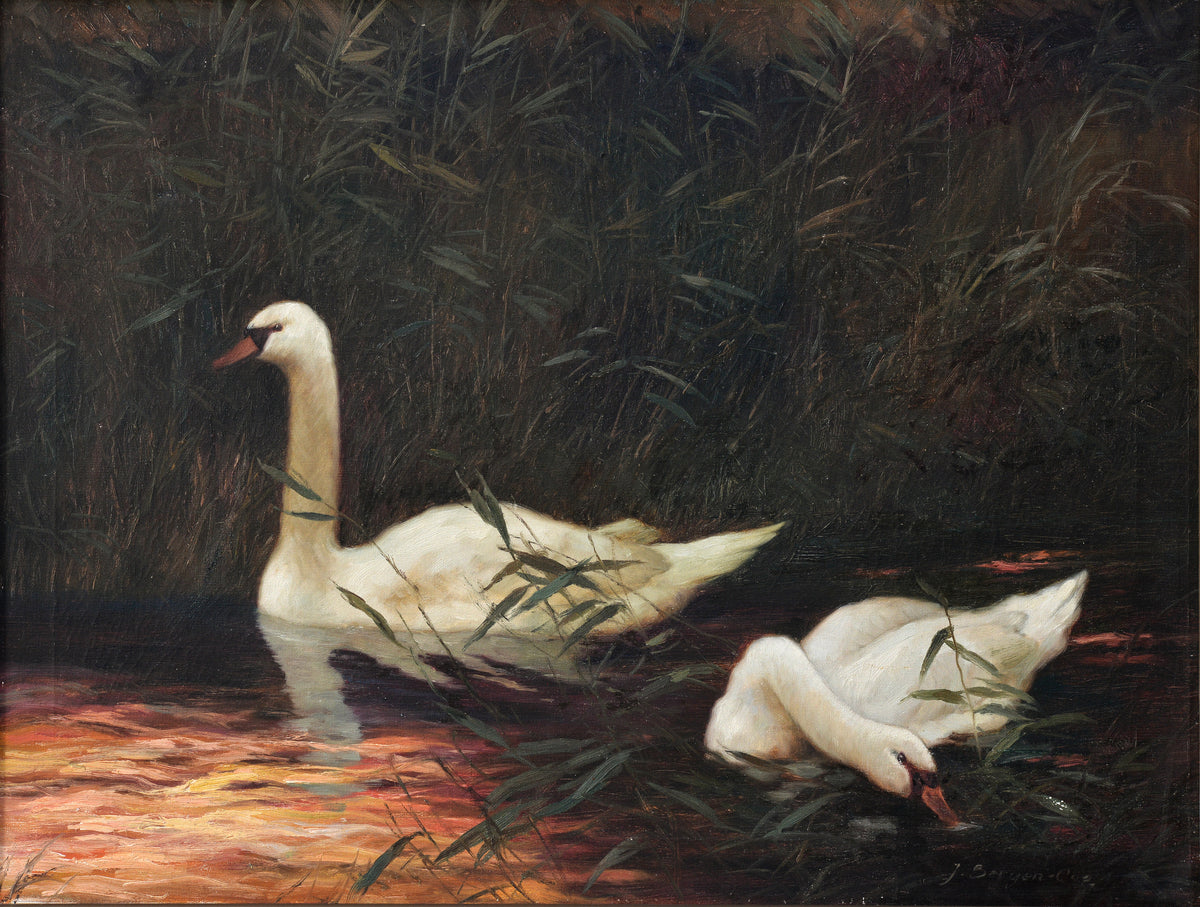 Pair of Snow White Swans at Sunset mid 20th century Vintage Oil Painting Signed