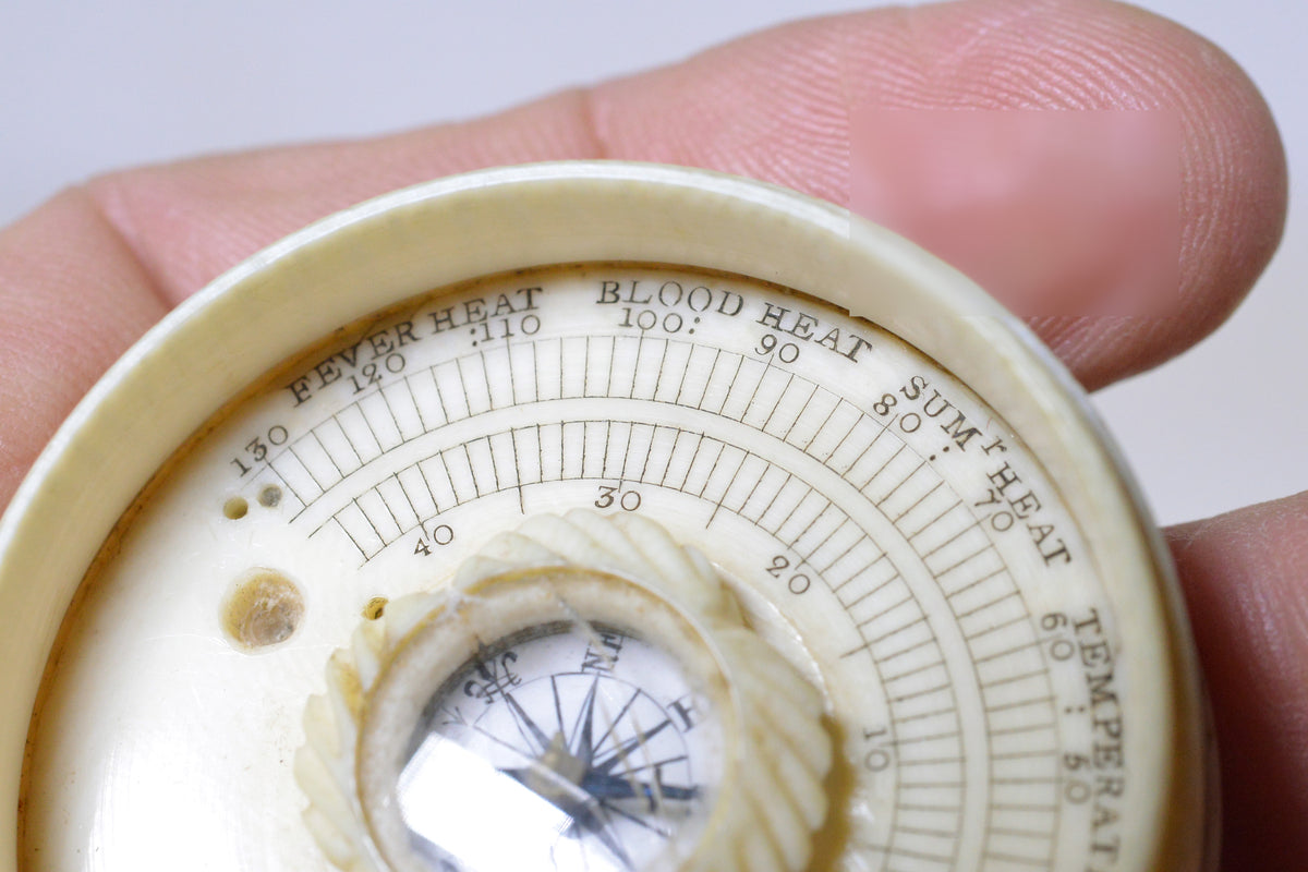 19C Antique Pocket Compendium Thermometer & Compass in Carved Ivory Box