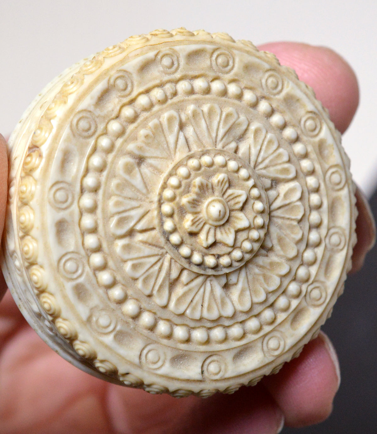 19C Antique Pocket Compendium Thermometer & Compass in Carved Ivory Box