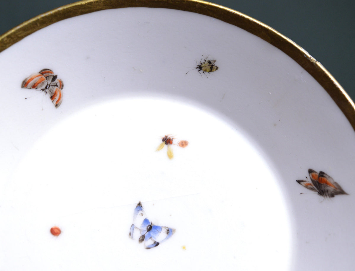 Insects n butterfly genuine antique Meissen quality floral cup n saucer late 18C