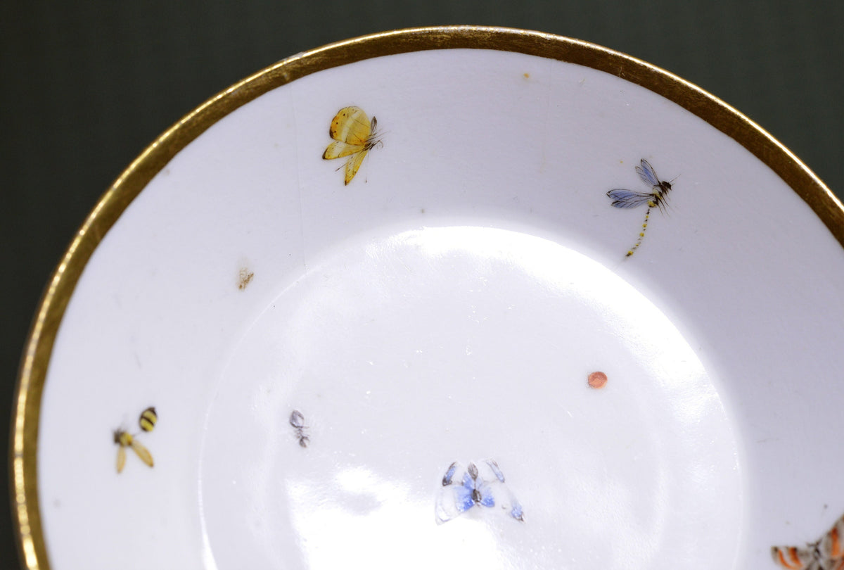 Insects n butterfly genuine antique Meissen quality floral cup n saucer late 18C